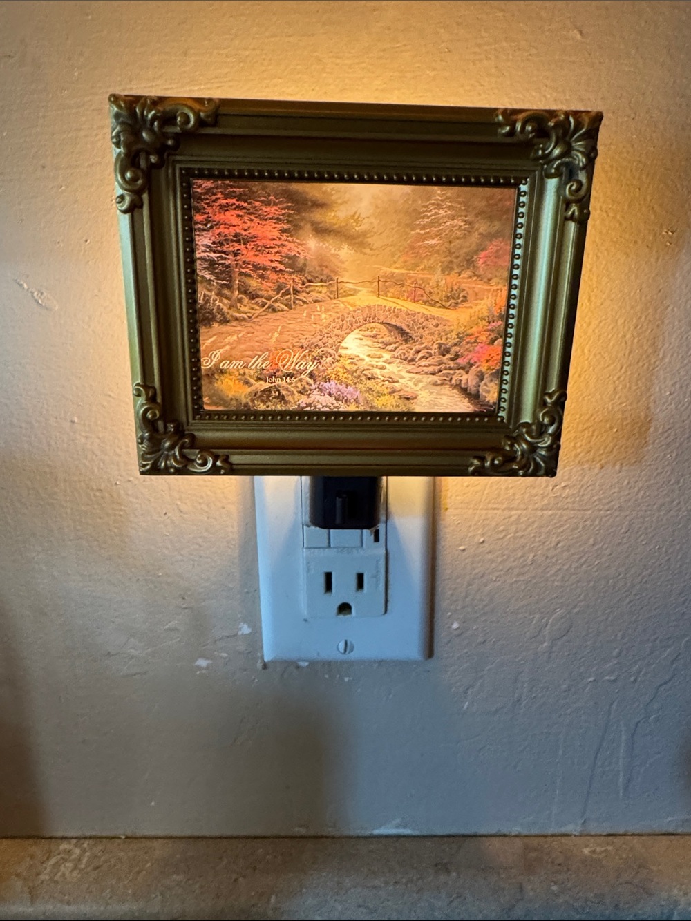 Thomas Kinkade Painter Of Light Night Light